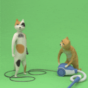 theGIFs 2017的gif的gif-若井麻奈美賞　劇団ネコ「掃除猫」