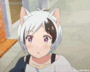 うちタマ?! ～うちのタマ知りませんか？～【公式】的gif的gif-あっ！
