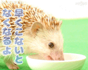 いけもふ【公式】的gif的gif-早くこないとなくなるよ