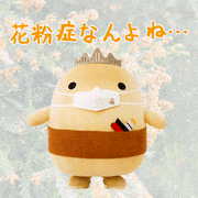 いまばりバリィさん的gif的gif-花粉症なんよね