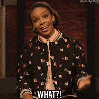 每日GIF(2020-04-30)的gif-Seth Meyers What GIF by Late Night with Seth Meyers