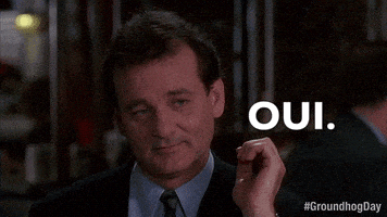 每日GIF(2020-04-30)的gif-Bill Murray Yes GIF by Groundhog Day