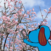 ジフテレビ【フジテレビ公式】的gif的gif-お散歩中に梅の花を見つけたラフくん