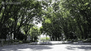 GIFMAGAZINE PRESS的gif的gif-白川公園
