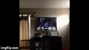 GIFMAGAZINE MEME的gif的gif-怖いけど見たいっ