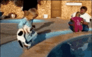 GIFMAGAZINE MEME的gif的gif-誤ってプールに落ちてしまう赤ちゃん