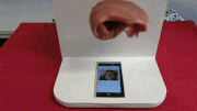 GIFMAGAZINE MEME的gif的gif-半永久的にスワイプし続ける方法
