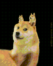 GIFMAGAZINE MEME的gif的gif-柴犬の表情がなんとも言えない。不思議なループ