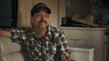 每日GIF(2020-05-02)的gif-Big Cat Lol GIF by NETFLIX