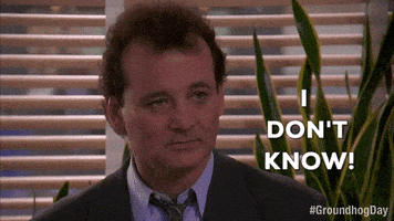 每日GIF(2020-05-04)的gif-I Dont Know Bill Murray GIF by Groundhog Day