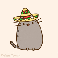 每日GIF(2020-05-06)的gif-Cinco De Mayo Mexico GIF by Pusheen