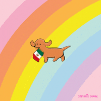每日GIF(2020-05-06)的gif-Cinco De Mayo Dog GIF by Stefanie Shank