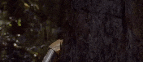 每日GIF(2020-05-06)的gif-return of the jedi episode 6 GIF by Star Wars