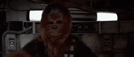 每日GIF(2020-05-06)的gif-Relaxing Episode 4 GIF by Star Wars