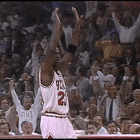 每日GIF(2020-05-06)的gif-Chicago Bulls Sport GIF by NBA