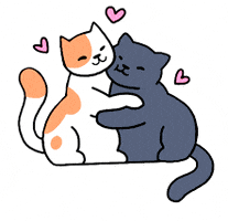 每日GIF(2020-05-06)的gif-Cats Hug GIF by ruillu