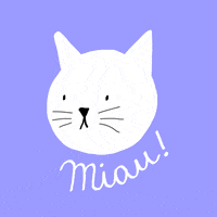 每日GIF(2020-05-06)的gif-Cat Kitty GIF by RainToMe