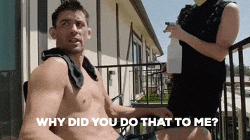 每日GIF(2020-05-08)的gif-Sport Ufc Embedded GIF by UFC