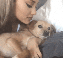每日GIF(2020-05-09)的gif-Justin Bieber Dog GIF by Ariana Grande