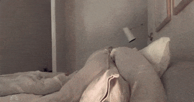 每日GIF(2020-05-11)的gif-Kristen Wiig Snl GIF by Saturday Night Live