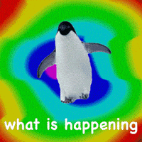 每日GIF(2020-05-11)的gif-Kanye West Help GIF by OceanX