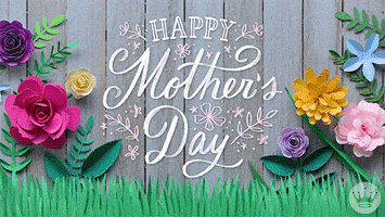 每日GIF(2020-05-11)的gif-Mothers Day Mom GIF by Hallmark Gold Crown