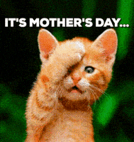 每日GIF(2020-05-11)的gif-Mothers Day Cat GIF by Product Hunt