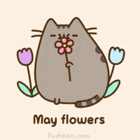 每日GIF(2020-05-12)的gif-Cat Spring GIF by Food52