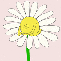 每日GIF(2020-05-12)的gif-Happy Good Morning GIF by julia farkas