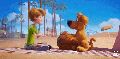 每日GIF(2020-05-14)的gif-Scooby Doo Dog GIF by Best Friends Animal Society