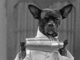 每日GIF(2020-05-14)的gif-Dog Vintage GIF