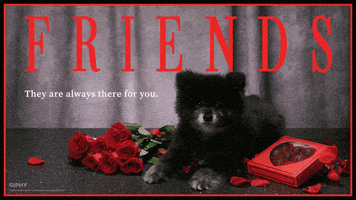 每日GIF(2020-05-18)的gif-Galentines Day Dog GIF by Originals