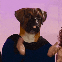每日GIF(2020-05-18)的gif-Dog Man Reaction GIF by Originals