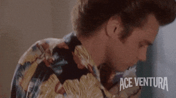 每日GIF(2020-05-19)的gif-Jim Carrey Stalker GIF by Ace Ventura