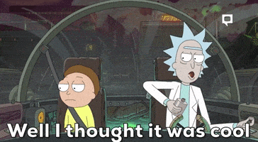 每日GIF(2020-05-19)的gif-Season 4 Episode 408 GIF by Rick and Morty