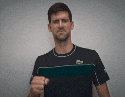 每日GIF(2020-05-23)的gif-excited novak djokovic GIF by Miami Open
