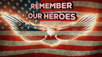 每日GIF(2020-05-24)的gif-American Flag America GIF by MOODMAN
