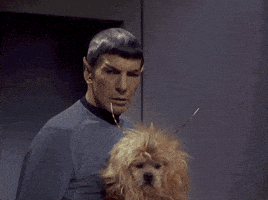每日GIF(2020-05-25)的gif-Confused Dog GIF by Star Trek