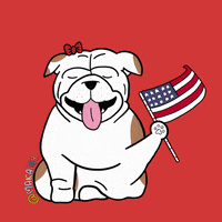 每日GIF(2020-05-26)的gif-American Flag Holiday GIF by makala9_