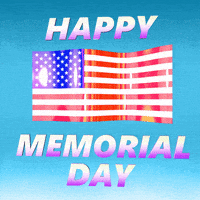 每日GIF(2020-05-26)的gif-American Flag Usa GIF by INTO ACTION
