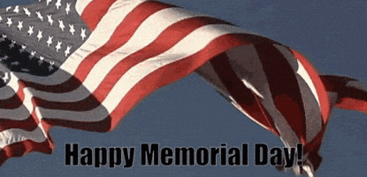 每日GIF(2020-05-26)的gif-memorial day GIF