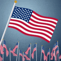 每日GIF(2020-05-26)的gif-4th independence day GIF by evite