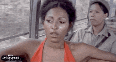 每日GIF(2020-05-27)的gif-Cult Classic GIF by Turner Classic Movies