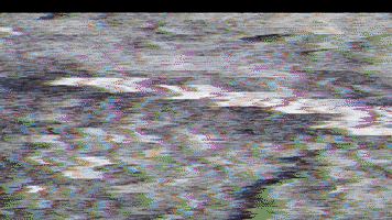 每日GIF(2020-05-28)的gif-Hip Hop Rap GIF by Maui Bigelow
