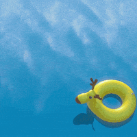 每日GIF(2020-05-28)的gif-frozen pool GIF by Disney