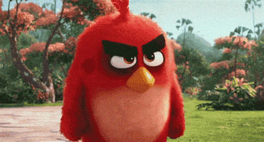 每日GIF(2020-05-30)的gif-Mad Angry Bird GIF by swerk