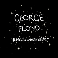 每日GIF(2020-06-04)的gif-Blm GIF by jessthechen