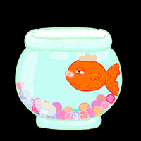 每日GIF(2020-06-10)的gif-Animation Sticker GIF by ezgi korba