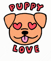 每日GIF(2020-06-11)的gif-Puppy Love Dog GIF by ruillu