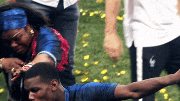 每日GIF(2020-06-13)的gif-France Win GIF by FIFA